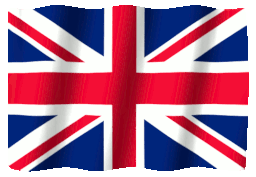 United States packaging market